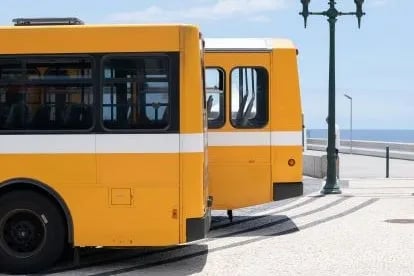 Servicii de Calatorii si Transport